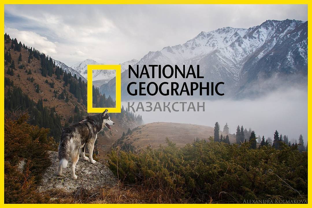 'National Geographic Қазақстан' қатарымызға қосыл, әлемді бірге өзгертейік!

Іле Алатауы

By Alexandra Kolmakova