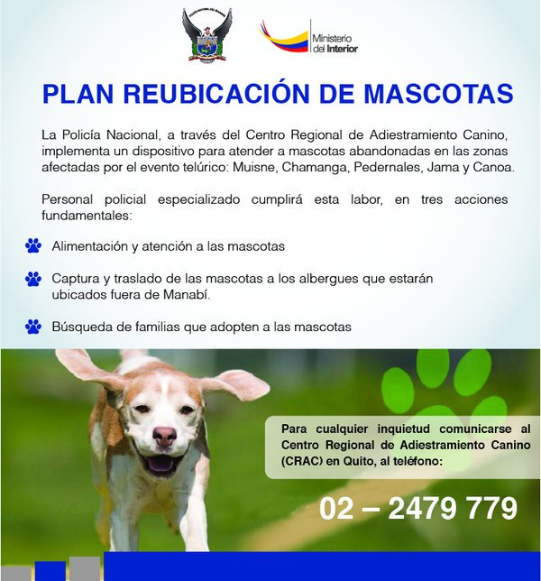PoliciaEcuador's tweet photo. NUESTRAS MASCOTAS nos necesitan. #CRAC implementa plan para reubicar mascotas en zonas afectadas #SismoEcuador https://t.co/JBKXK7kpkm