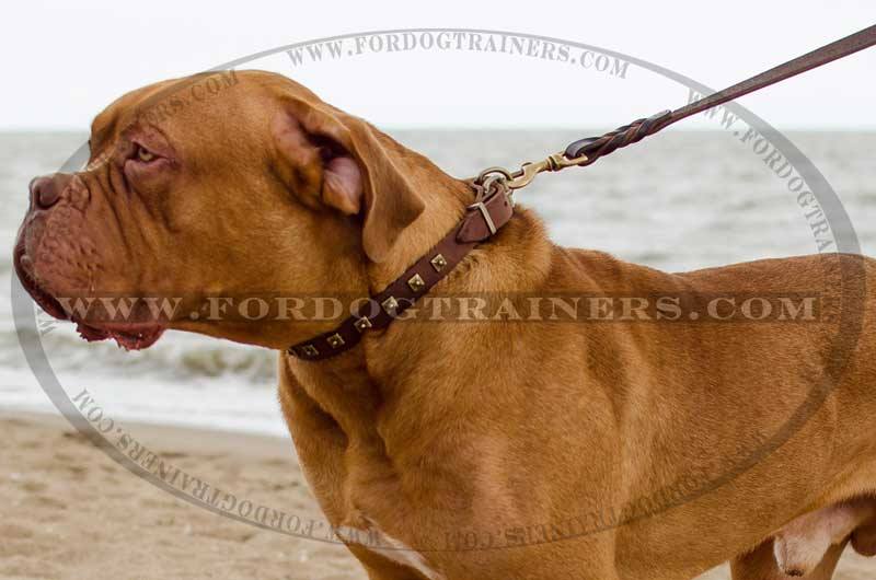 fordogtrainers's tweet photo. RT: #DoguedeBordeaux in a #leatherdogcollar with square studs #dogs #dogcollars #dogsoftwitter #cutedogcollar https://t.co/XR5UGpzszm
