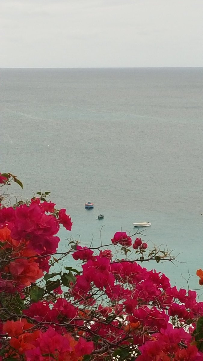 CarolynCSB's tweet photo. Early, early am. #Anguilla #mytime #peaceful #crocusbay #ceblue https://t.co/oGXFn7ni8z