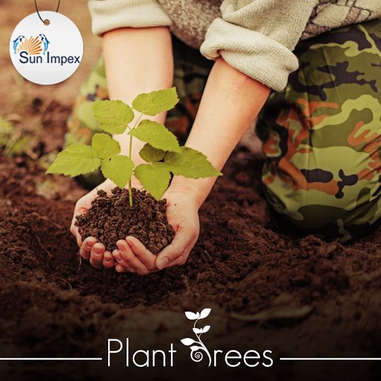 Sun_Impex's tweet photo. #SunImpex believes in planting #rees.If you too believe in the same press Like. #SaveEarth #SaveEarthIn4Words https://t.co/hYoLrICyxK