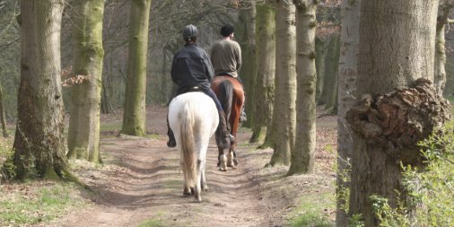 Compensation for #horse accident victim after being told there was no case by another firm ow.ly/10oiym