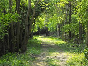 DanielMMoore_'s tweet image. Having a Wild childhood &amp;amp; falling in love with wildlife was my #GatewayToScience - #EveryChildWild @WildlifeTrusts
