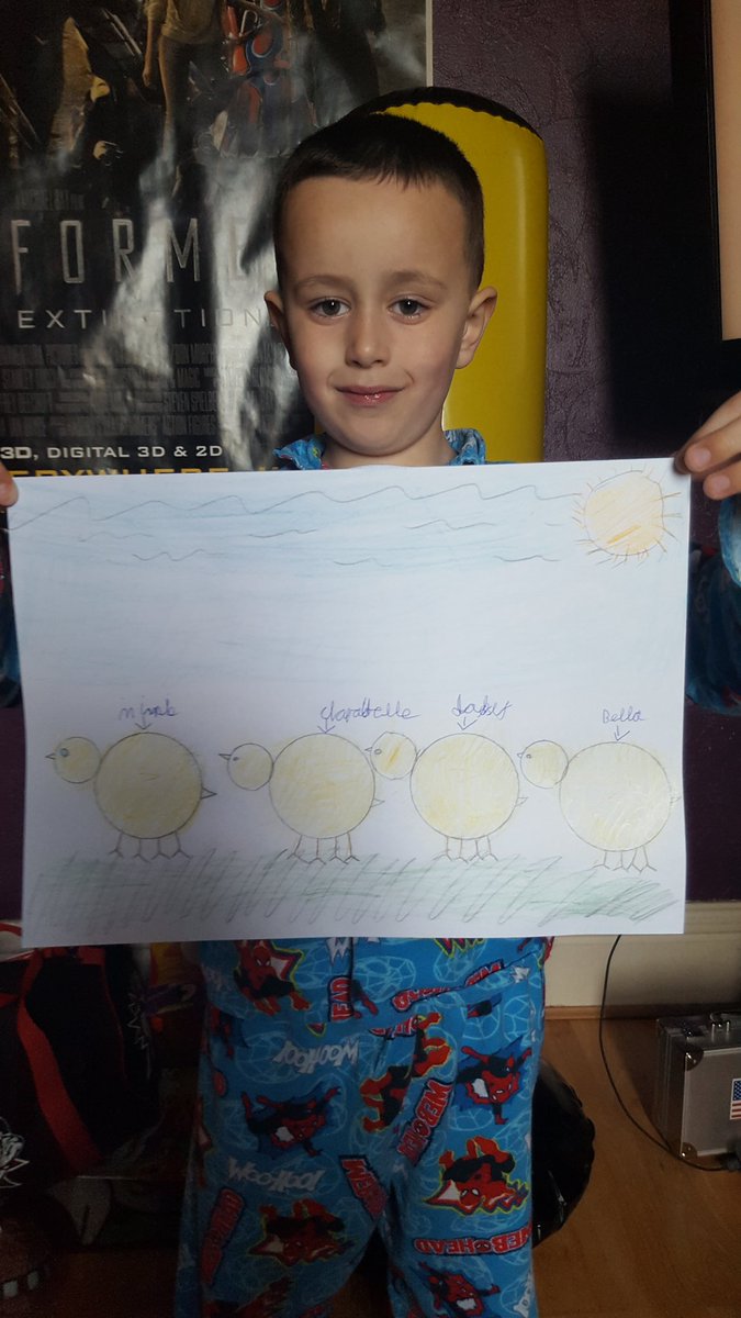 @ParksideGGI Theo with his picture of the chicks and his names for them. #Internetchallenge