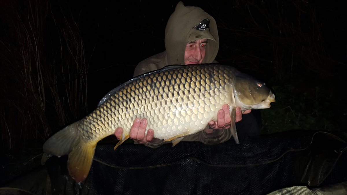 poolhallfishery's tweet photo. 21-10 on PH Squid https://t.co/6TI59bmjVB