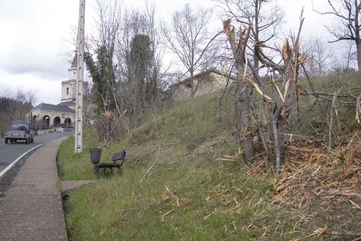 Otra vez Diputación se sobrepasa en limpieza de márgenes de carretera. Denuncia de <a href="/bilduartziniega/">EH BILDU Artziniega</a> zona Artziniega