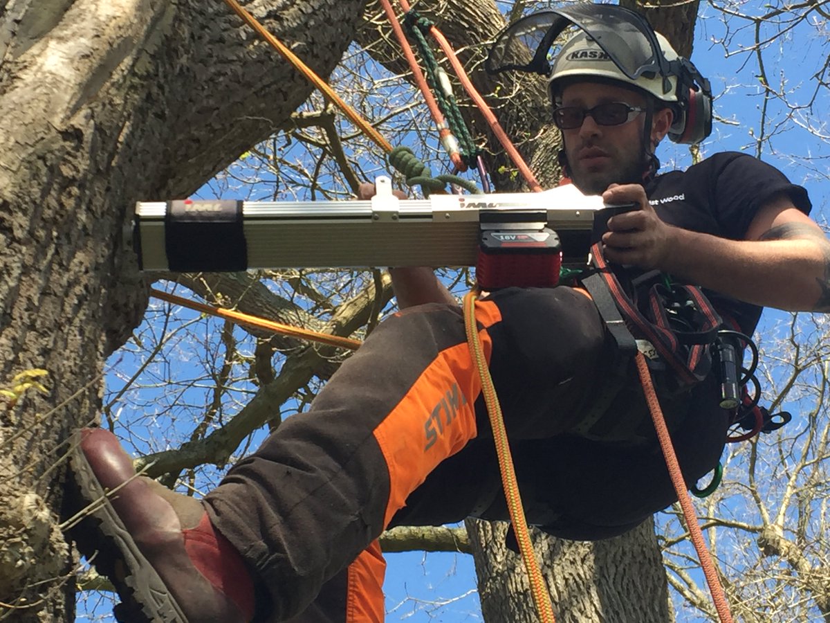 SorbusIntlLtd's tweet photo. Thanks @MerristWood for allowing us to demo Hi-Tech decay detection equipment yesterday #treedecay #survey #arborist https://t.co/Sfnc9cYeV1