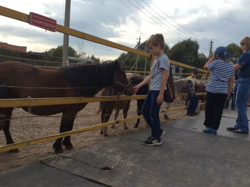 MoscowEscape's tweet image. Не хуже Диснея: Топ-5 веселых поездок по Подмосковью с детьми🐾🐾🐾

😉 Музей змея Горыныча… t2p.pw/OikFc7ZM13