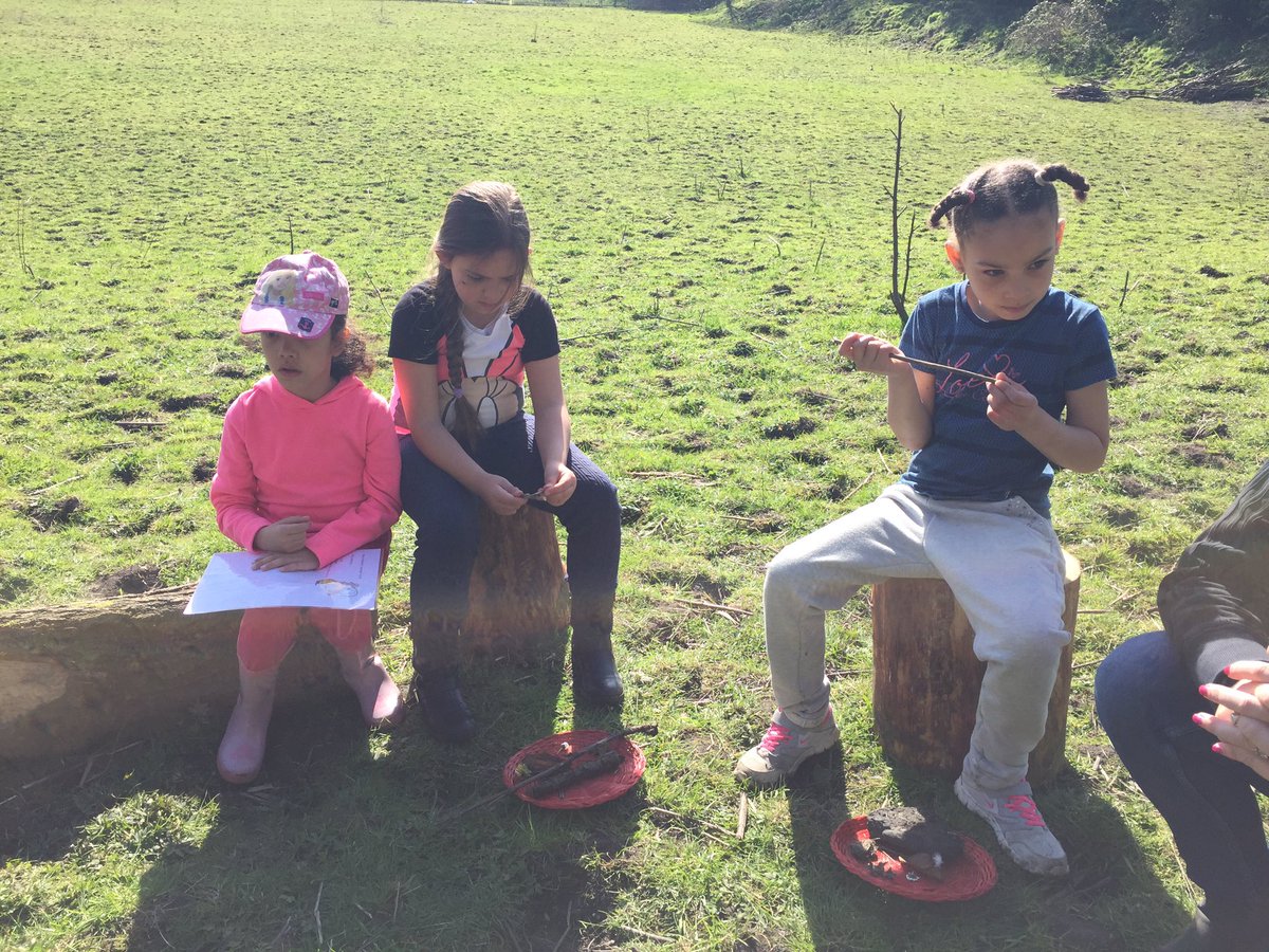 MrsBoothHOCS's tweet photo. Sharing our ideas! #3JB #forestschool https://t.co/ktUoRiNhXt
