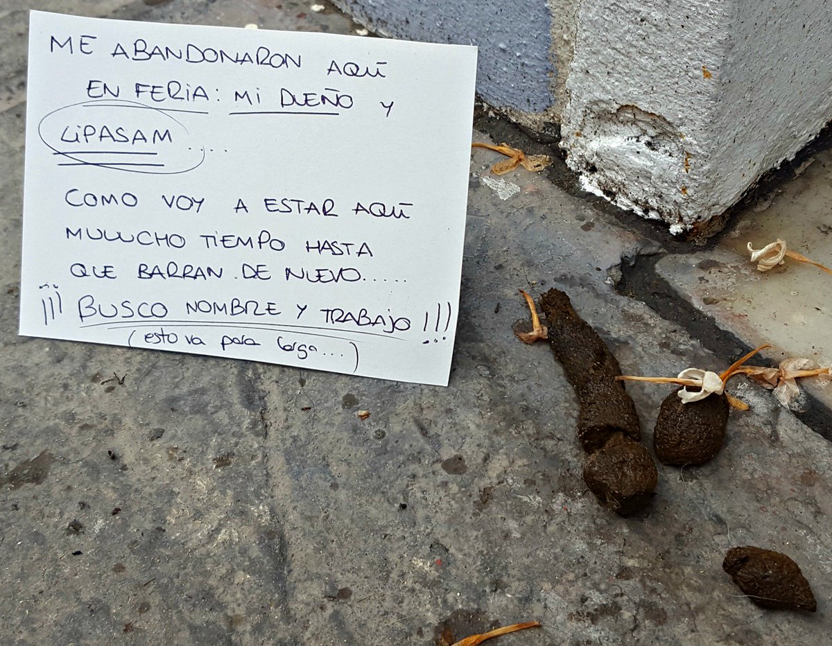 Nanutricion's tweet photo. @Ayto_Sevilla Las calles de los Remedios después de Feria y elecciones NO EXISTEN https://t.co/djBkk0EcOl