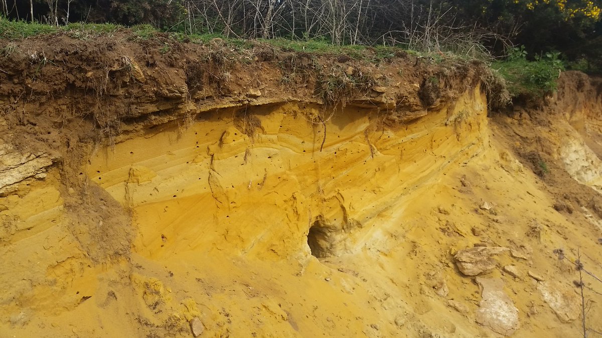 golfenvawards's tweet photo. Great mining bee area created @FrilfordHeathGC can you see the holes? #natureoncourse https://t.co/ad6jZhBTrO
