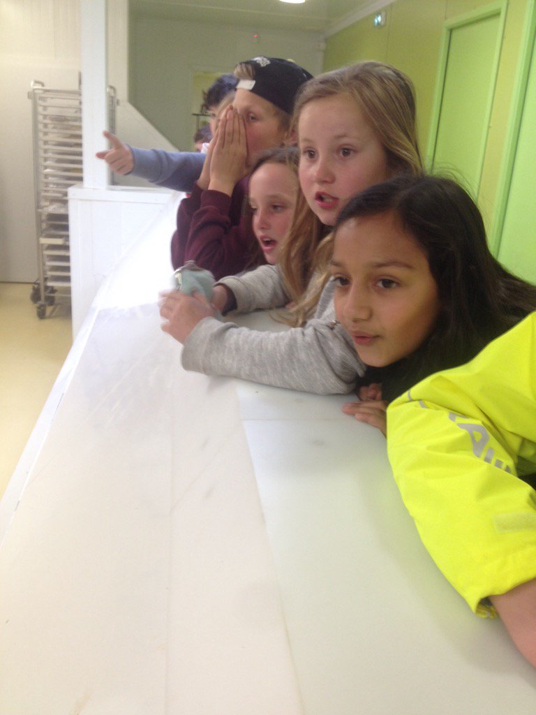 ElmsSchool's tweet image. On arrival at the chocolate factory...so very, very excited! #learnbyexperience #sweettooth #wheresthechocolate
