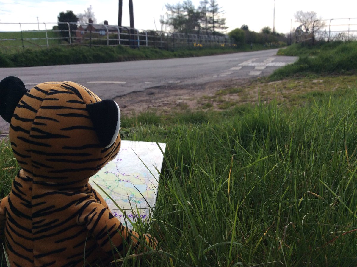 <a href="/MAL_SEN_Dingle/">Mr. Dingle</a> Russ is deciding where to go next on his Silver expedition. #wksdofe