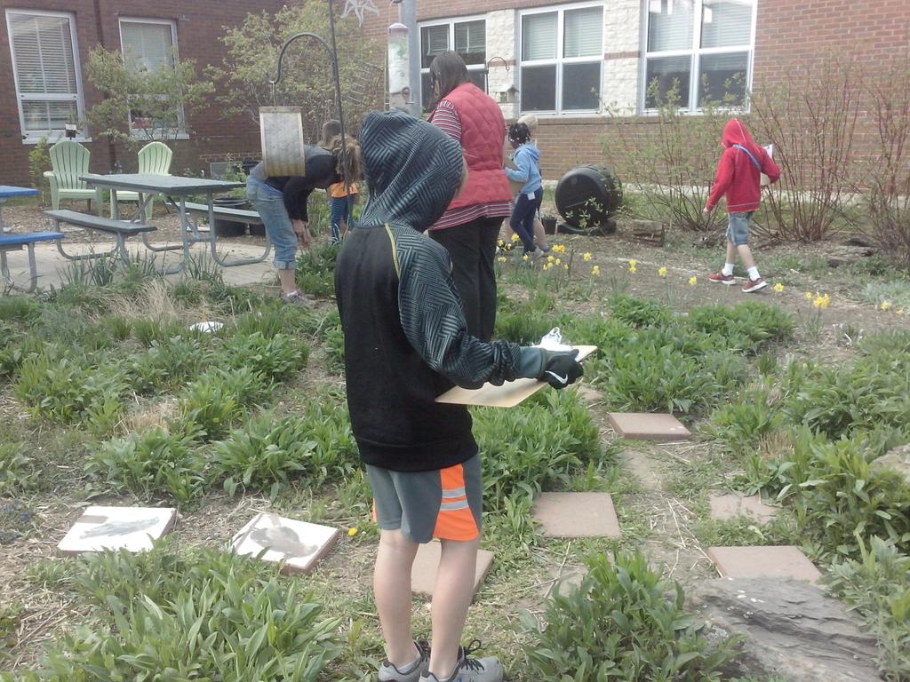 MrsGordon531's tweet photo. First crop of spring! <3 early morning planting! @GIS_Cromwell https://t.co/GCsD4dFqXg