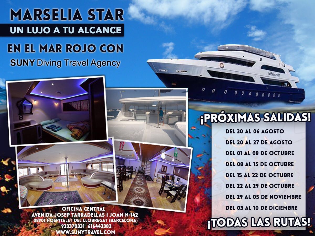 Suny Diving Travel (sunyvictoria) Twitter