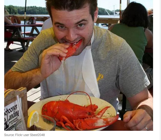 Summit Van Lines Inc tweet media