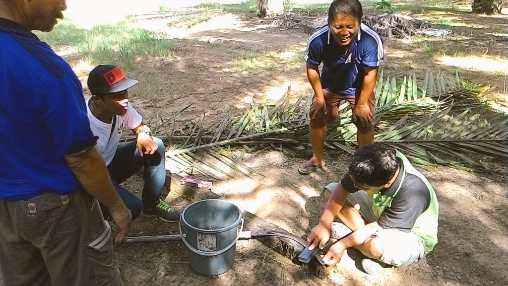 PrasadVasudevon's tweet photo. Smallholder training and sharing session @rurality_org#tftlive https://t.co/TepSak65fb