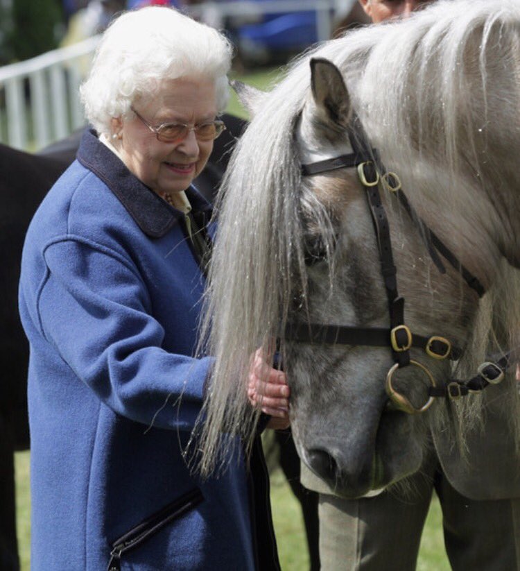 FlintsYard's tweet image. Happy 90th birthday to our much loved and respected equestrian loving Queen