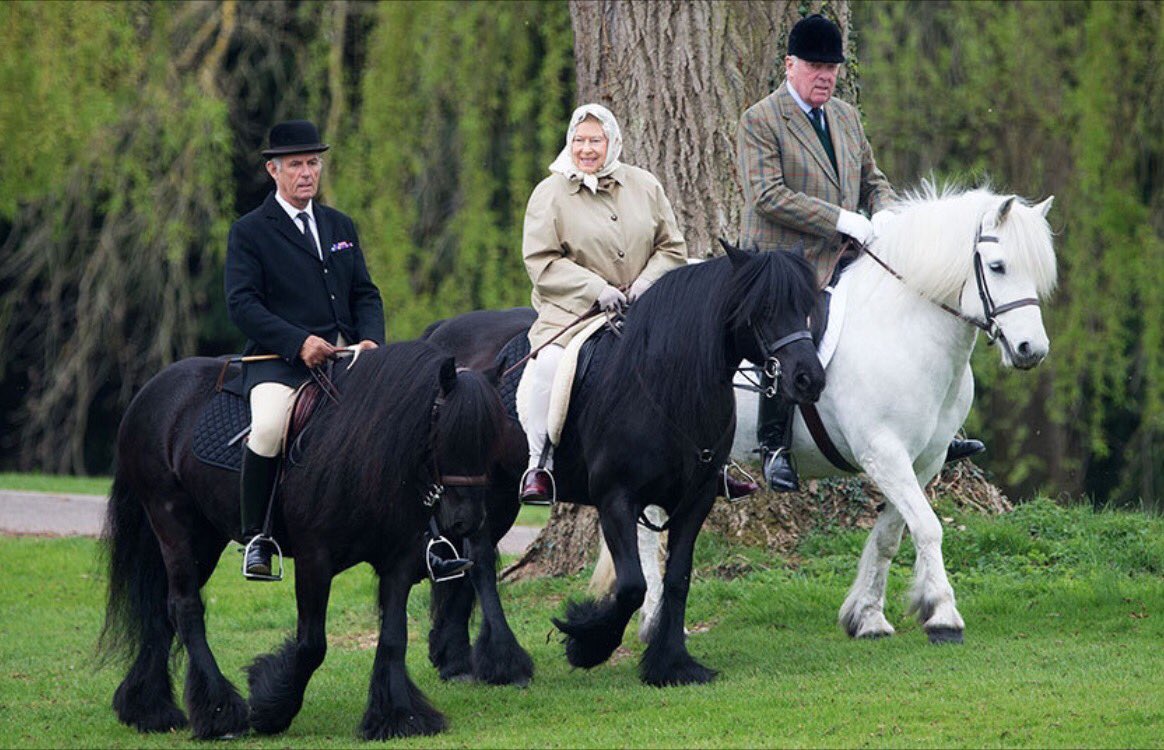 FlintsYard's tweet image. Happy 90th birthday to our much loved and respected equestrian loving Queen