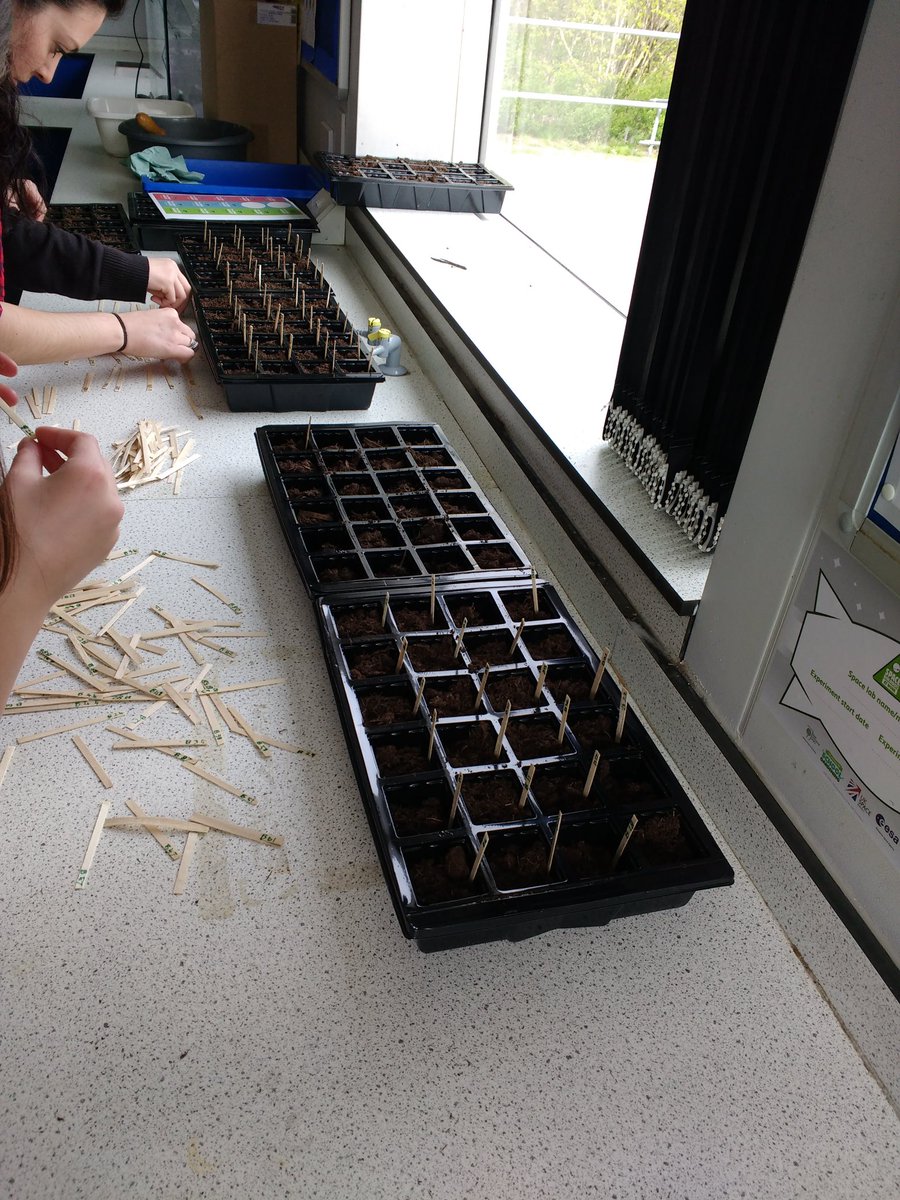 GSA_STEMClub's tweet photo. Rocket seed corner well underway @astro_timpeake #stem #rocketseeds https://t.co/fZ6zIrV3q5