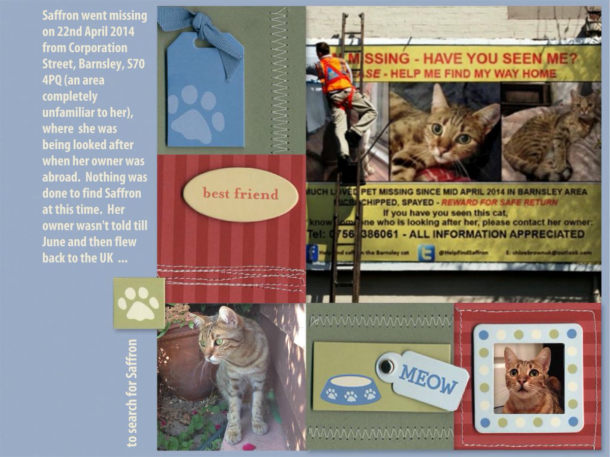 HelpFindApollo's tweet photo. PLEASE #HelpFindApollo Also #SearchingForSaffron his sister💔
Two disappearing is too much to bear💔#MissingNeverHeals https://t.co/vom1RLFiU3