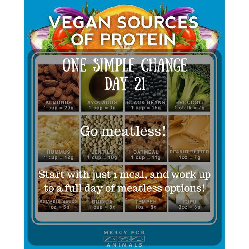 fitchickradio's tweet photo. #onesimplechangechallenge #day21 #meatless #veganprotein https://t.co/AXsJ94sdkx