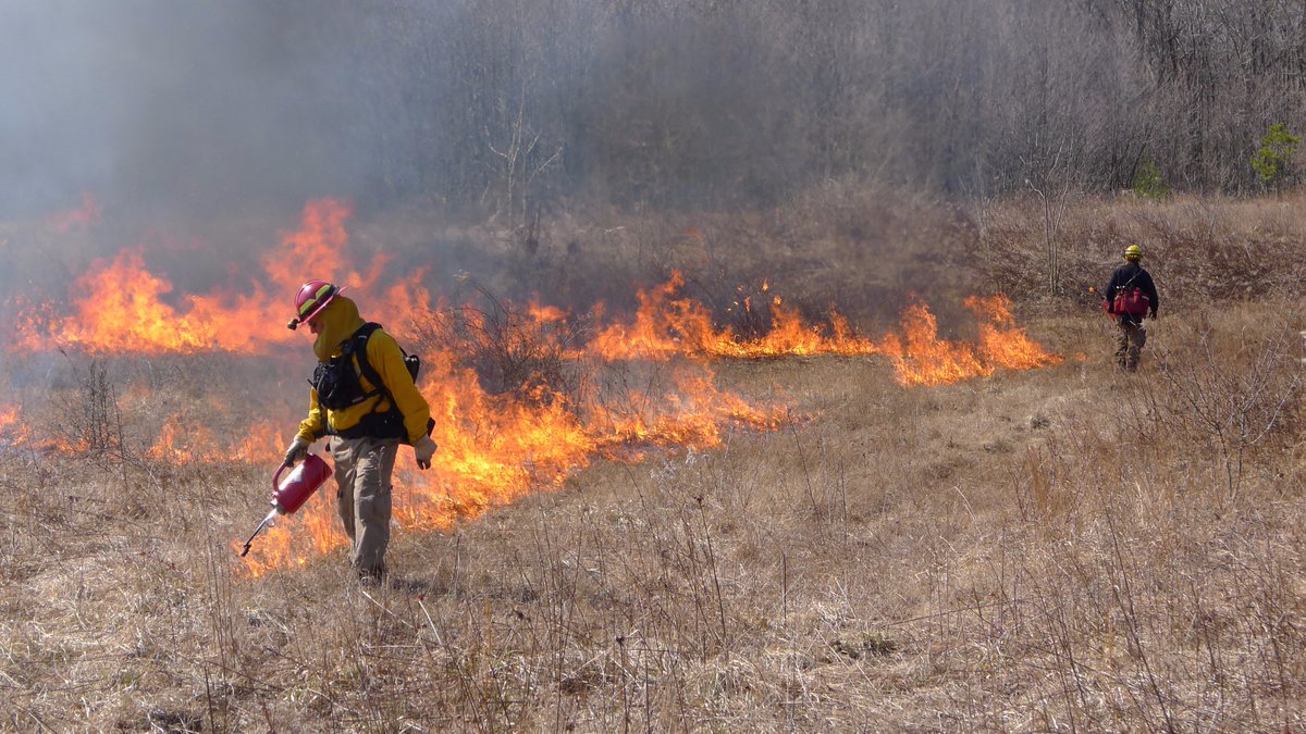 PANationalGuard's tweet photo. #FtIndiantownGap is scheduled to conduct prescribed burns today totaling approximately 260 acres. #LebCo #hbg https://t.co/Fe5xK0U5PU