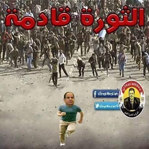 313z5's tweet photo. #حريه_مصر_25
بكره الثوره تشيل
ماتخللي

نازل
ومش
متنازل

#حريه https://t.co/nDtvE6klcc