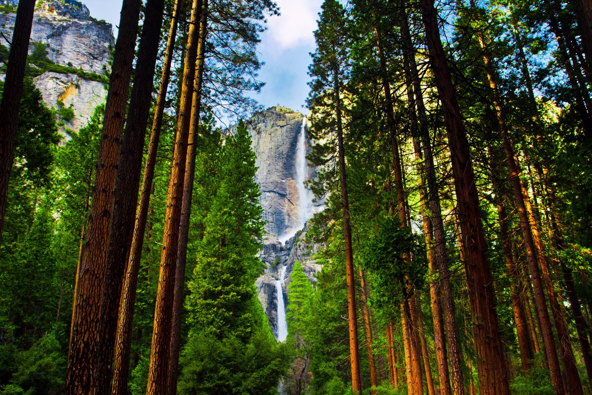 worcesterkc's tweet photo. Throughout National Park Week, April 16 to 24, 2016, every national park will give you free admission! https://t.co/ugDW3NRmj2