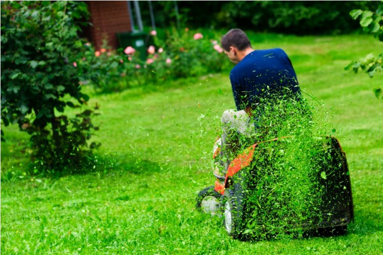 Get that lush, green lawn you've always wanted by checking out these 4 Spring lawn care tips rem.ax/1SXtve2
