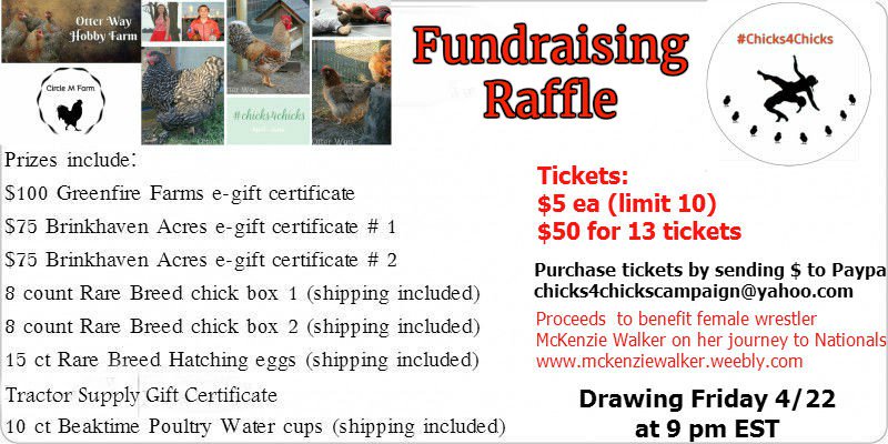 otterwayfarm's tweet photo. #chicks4chicks raffle drawing is tomorrow night. Don't miss out! GREAT PRIZES FOR A GREAT CAUSE https://t.co/0du7J0Sr04