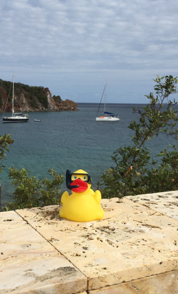 Snorkelduck #stjohnprovision #stjohnusvi #whatvilla?