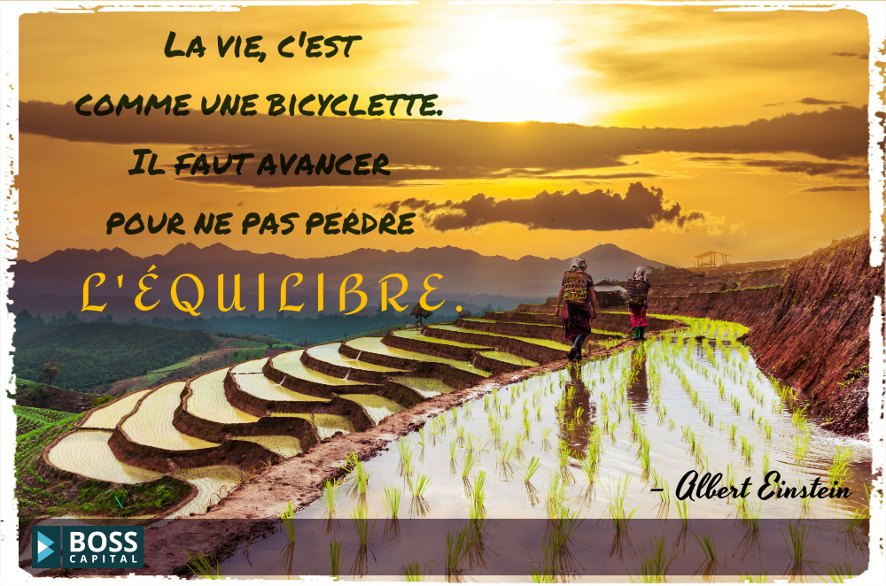 BossCapitalFr's tweet photo. Besoin de #progrès?
Inscrivez-vous sur #BossCapital pour avoir accès à nos #cours en ligne!
▶https://t.co/Im7lqTRry3 https://t.co/D1LXX4unXL