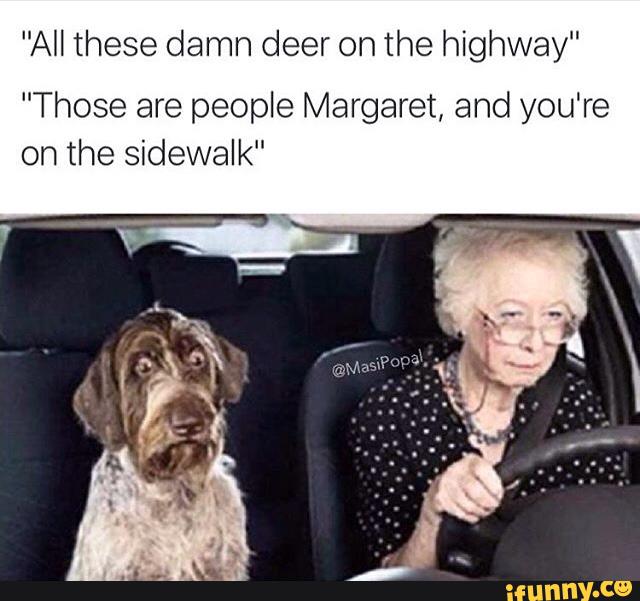 Raven_1998's tweet image. #dog #margaret #runningover 
ifunny.co/fun/U6l97EJo3
#iFunny