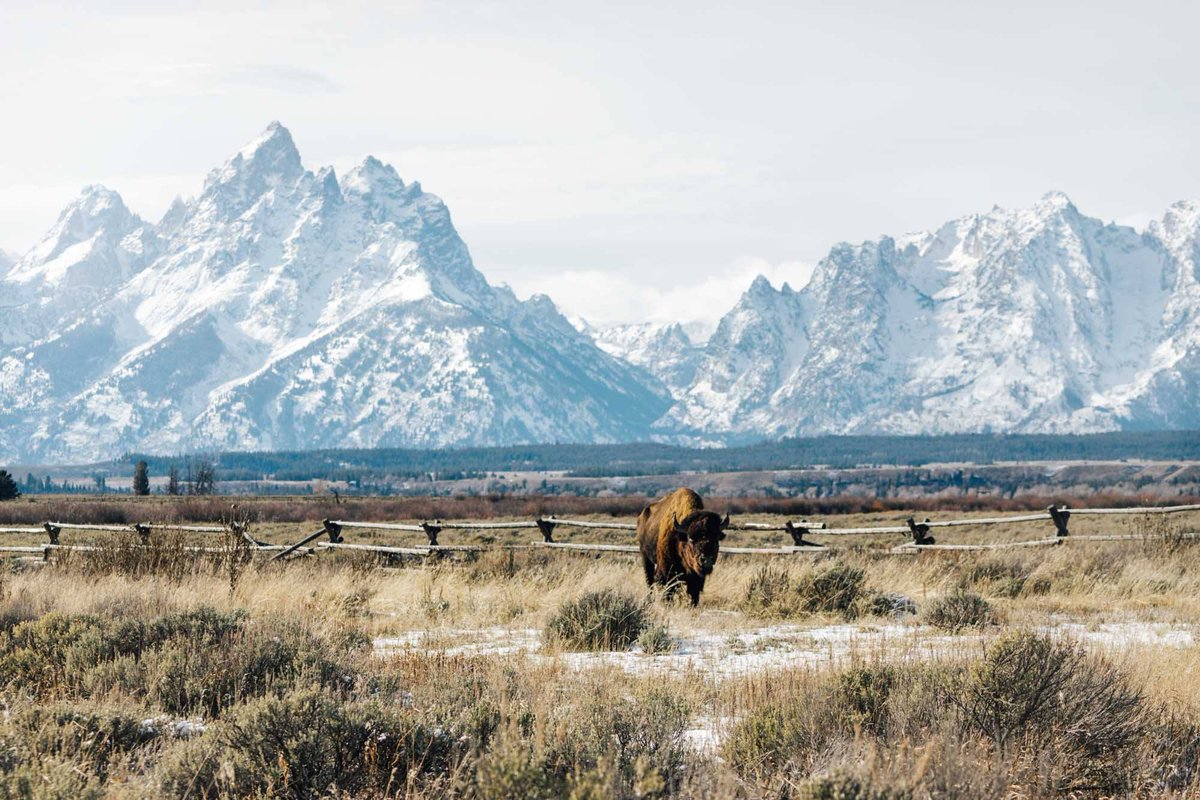 For those of you who didn't see it, we're back to talk art. Episode 1 with Jeremy Janin bit.ly/23HMgNJ