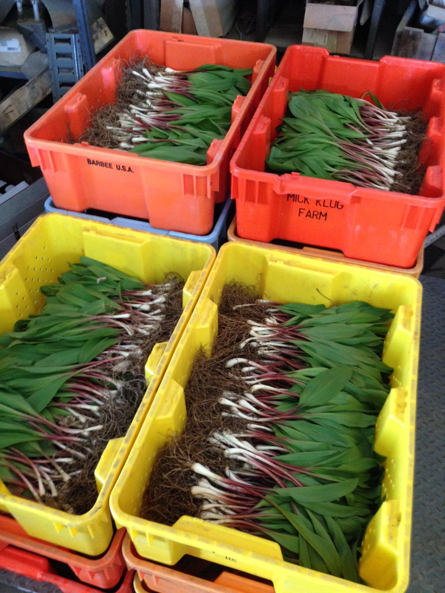 We have #ramps available for delivery to restaurants this Friday, and all next week. DM or contact Abby.