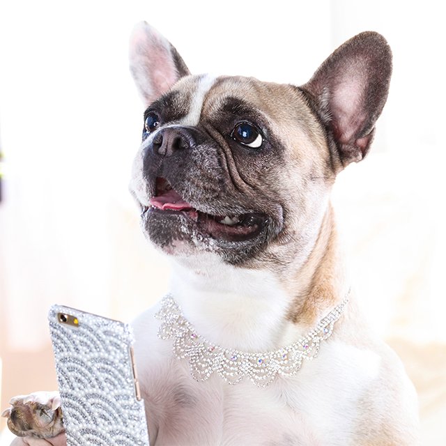 claires's tweet photo. Who knew Beefcake was as #obsessed with #selfies as we were? #ClairesProm #LetsGoToProm https://t.co/slqCQIuE63