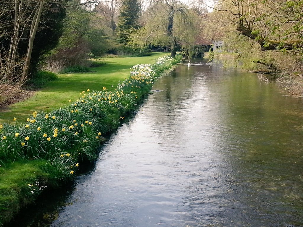 shailja101's tweet photo. Stroll in the village, #countryside #sunnyday #happiness @overtonhants @hampshire https://t.co/xBviTEgJRE