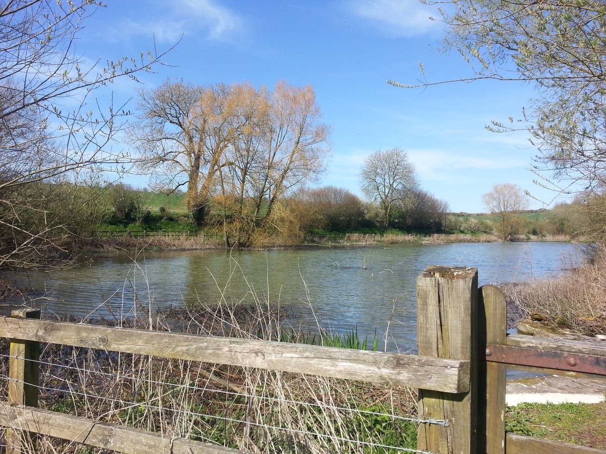 shailja101's tweet photo. Stroll in the village, #countryside #sunnyday #happiness @overtonhants @hampshire https://t.co/xBviTEgJRE