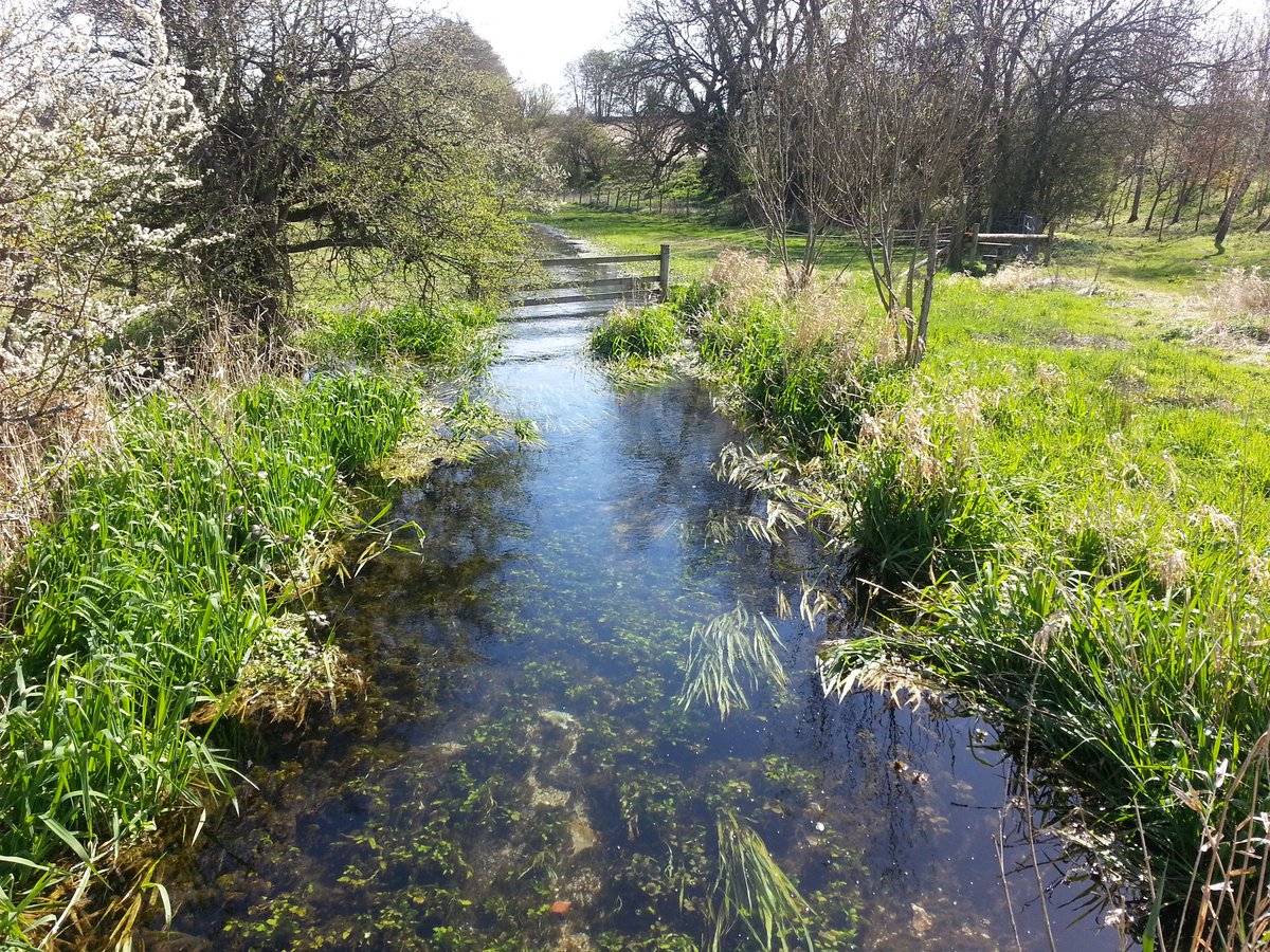 shailja101's tweet photo. Stroll in the village, #countryside #sunnyday #happiness @overtonhants @hampshire https://t.co/xBviTEgJRE