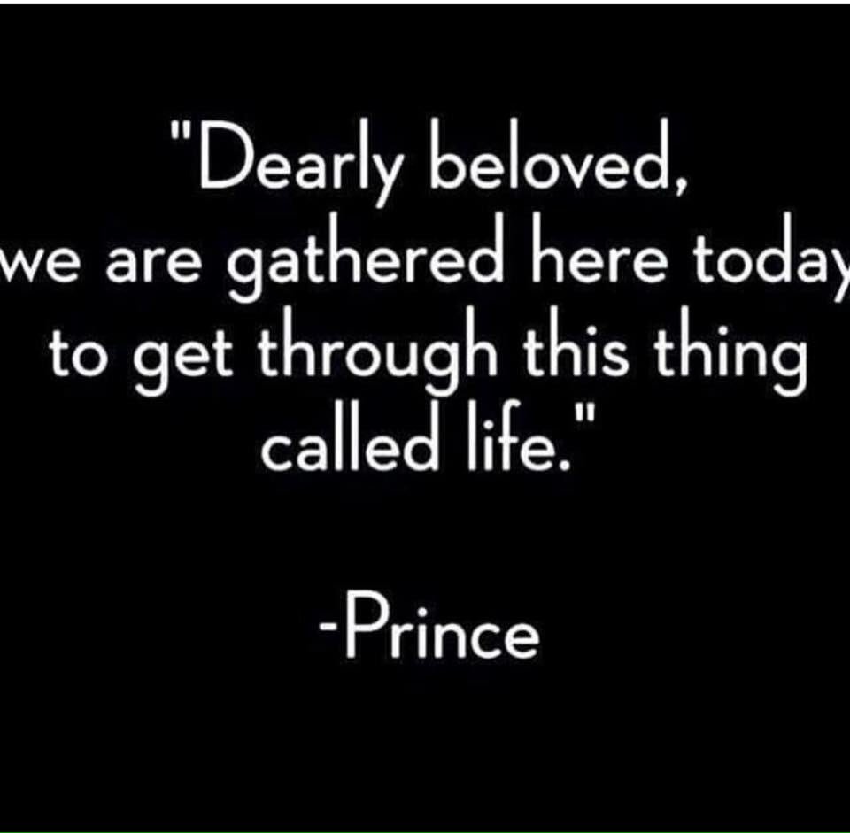 thatserryday's tweet photo. https://t.co/xf75vI1Q35