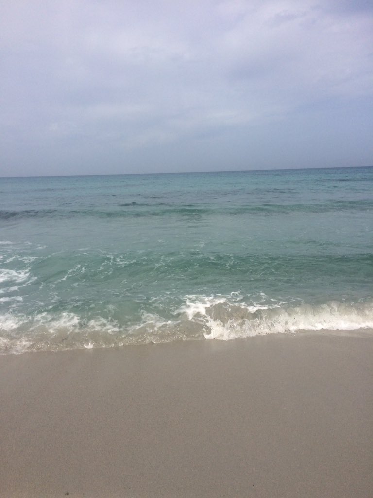 SandraSotgiu's tweet photo. Ma voi,le domeniche di Aprile cosa fate? #igersardegna #sardegna #WillkommenInItalien https://t.co/9p9rCO0c71