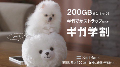 Twitter இல いこたん天使 ソフトバンクcm 0ギガあげちゃうちゃう犬 でかストラップ T Co Cboenqap4x 生駒里奈 生駒ちゃん ギガちゃん ポメラニアン ソフトバンク Au Docomo 三太郎 鬼ちゃん 浦ちゃん 金ちゃん