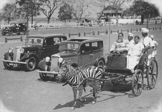 Indian History Pics tweet media