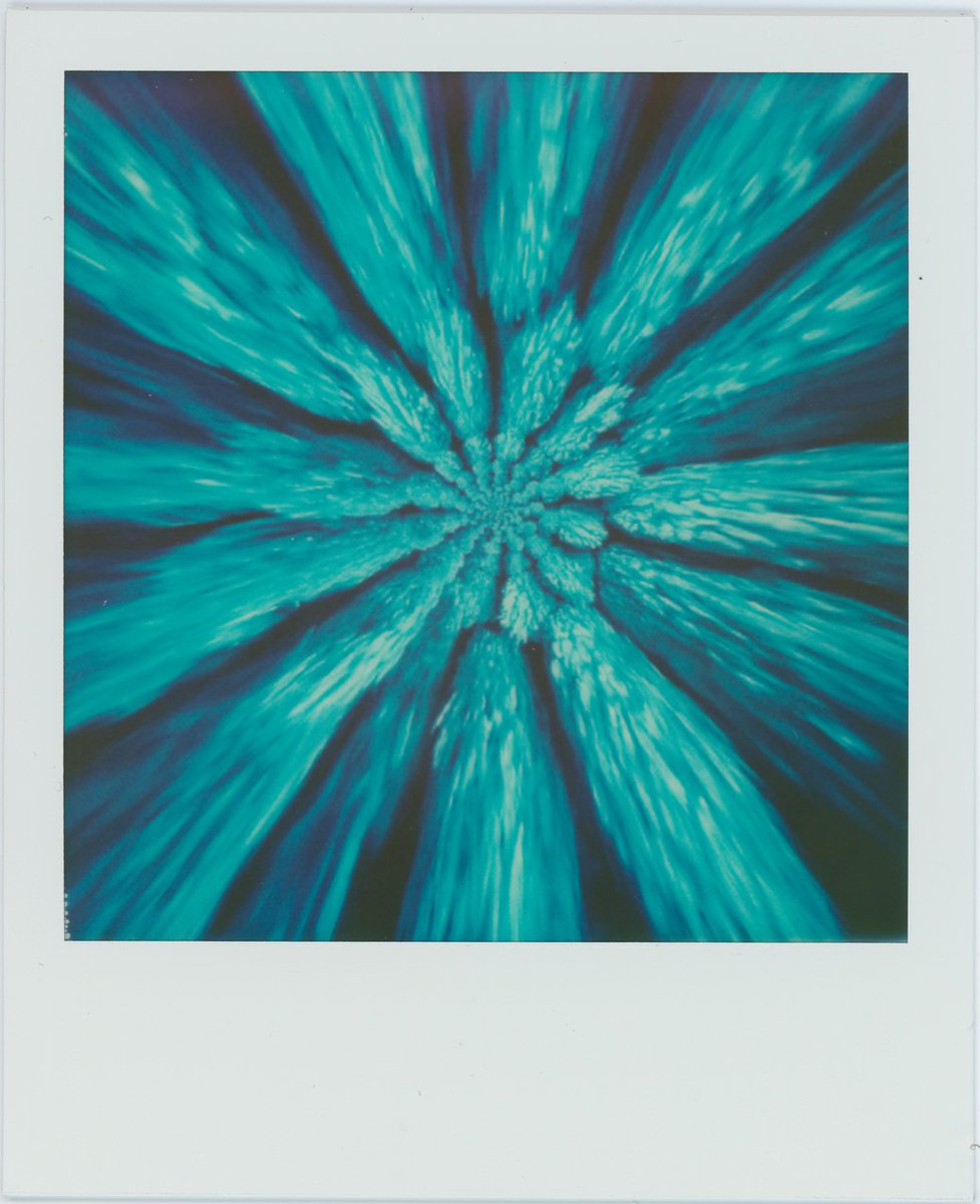 lacet_r's tweet image. Colorburst #3. IP color 600 on ILab. #makerealphotos #polaroidweek #Instagram