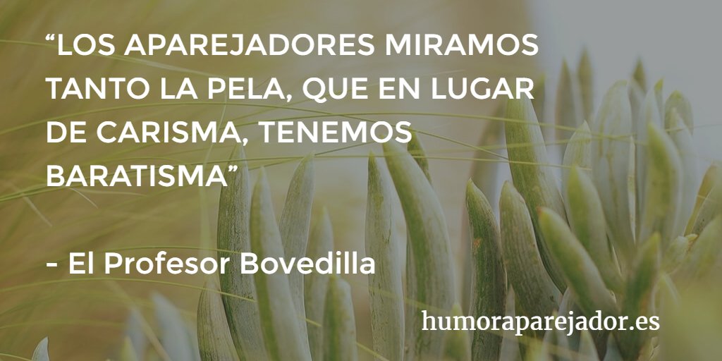HumorAparejador's tweet photo. ¿Por qué los #aparejadores no tenemos carisma?#Contart2016 https://t.co/ot6RuZt6uT