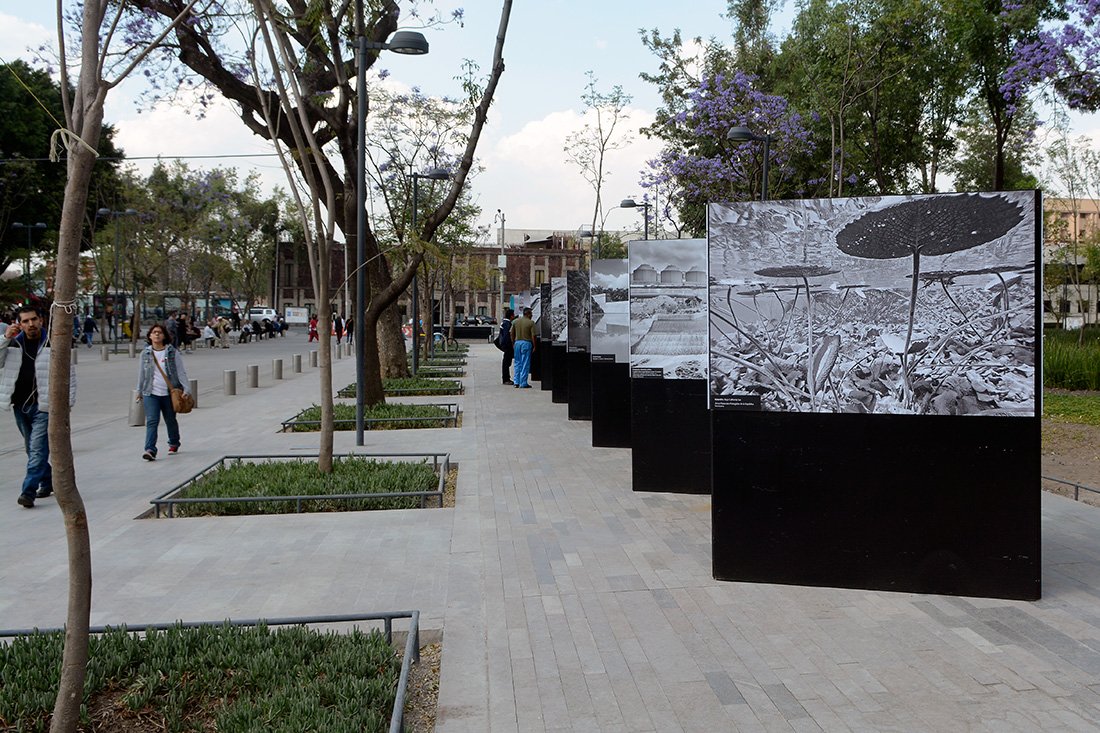 La exposición Agua rescata la evolución del tema del agua, a través del tiempo.