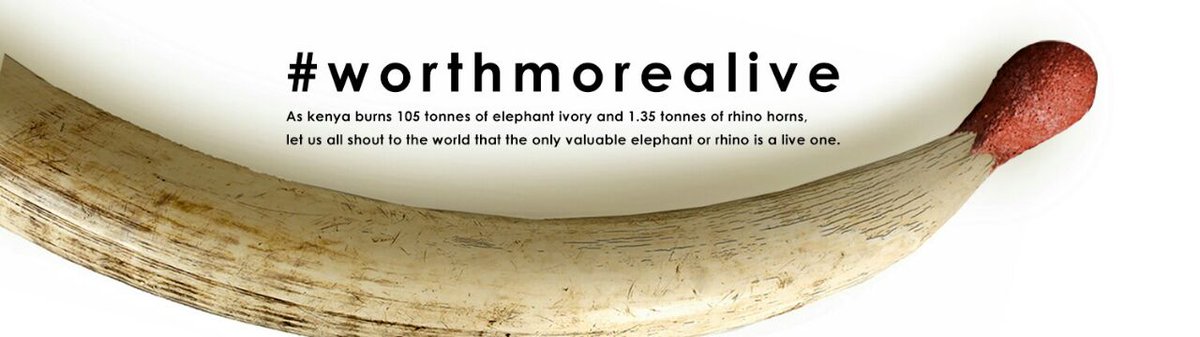On 30th April 2016, we are taking a stand as a country against poaching.Tweet your support through #WorthMoreAlive.