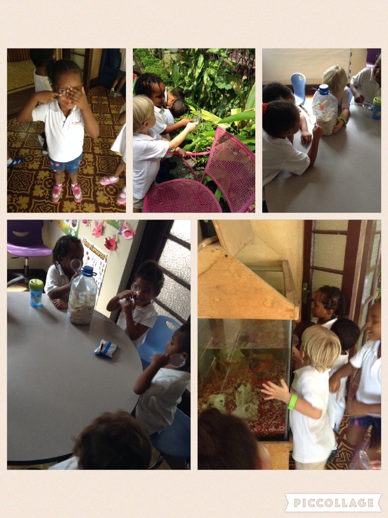 learnwithnak's tweet photo. An important tool in being a scientist #magnifyingglass #scienceofwater #learnthefun https://t.co/NcOLCks4e2