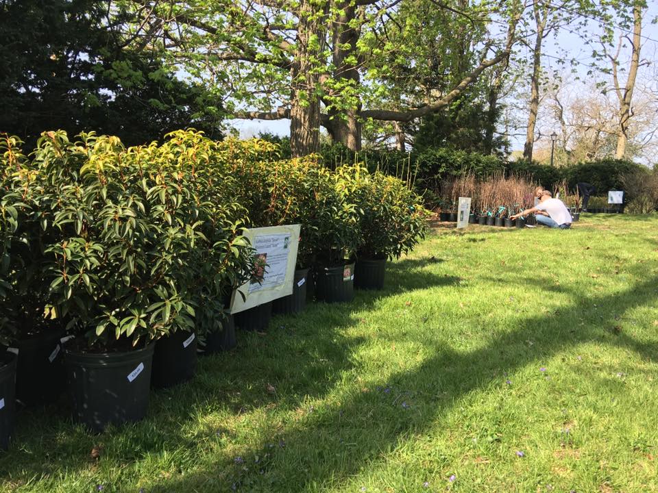 Native Plant Sale this Saturday 11am-2pm - PPA members only sale Fri. 3-6pm bit.ly/1SdRSYB